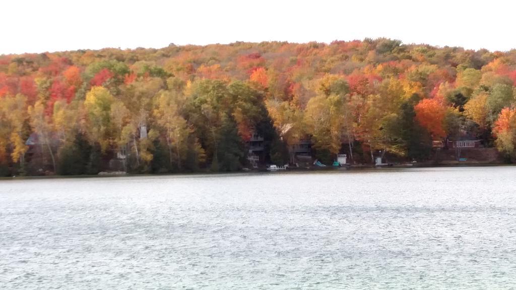 Log Cottage on Blue Lake Kalkaska Eksteriør bilde